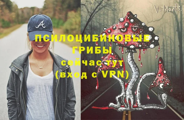 а пвп мука Балабаново